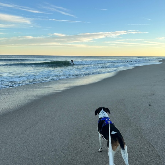 Meet your Posher, Jessica - Picture 1 of 1